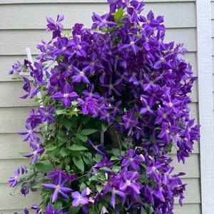 Meet your Posher, Terrie